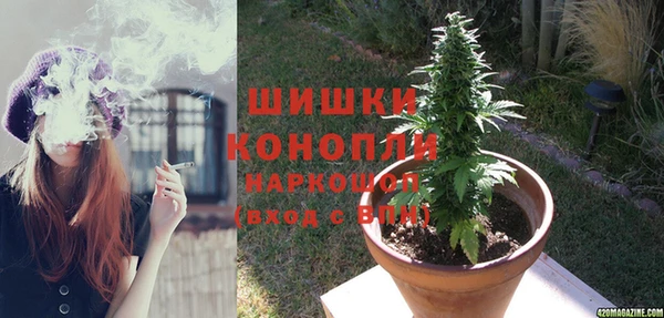 PSILOCYBIN Баксан