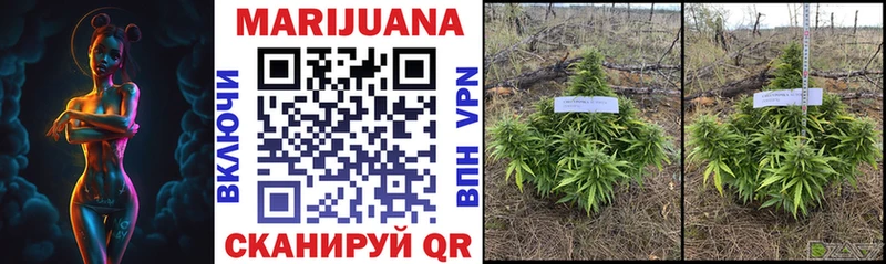 купить наркотики сайты  кракен маркетплейс  МАРИХУАНА OG Kush  Горняк 
